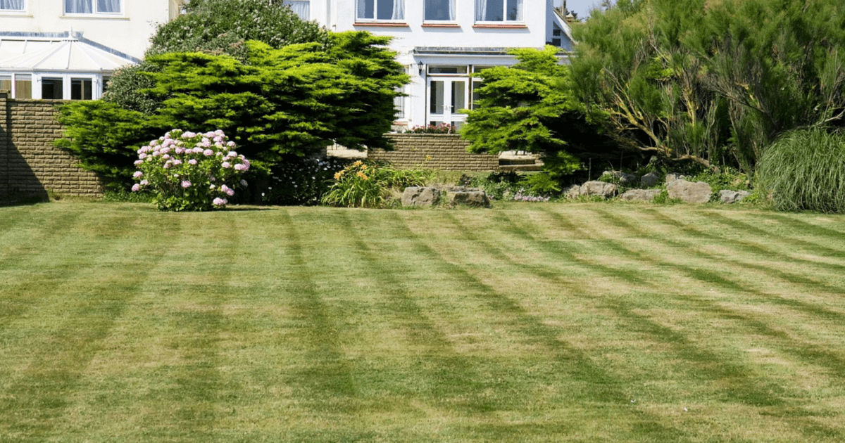 Freshly mowed lawn with TurfForce ride-on mower