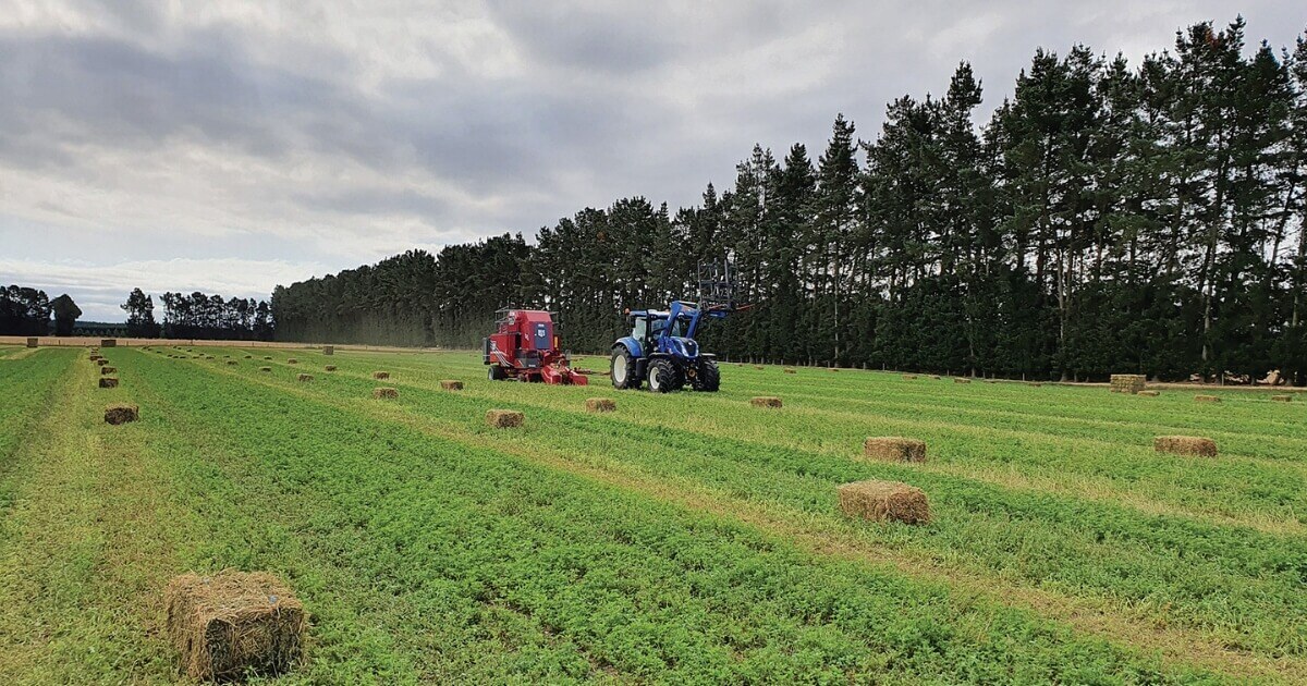 Canterbury contractor expands horizons with Bale Baron 5250P