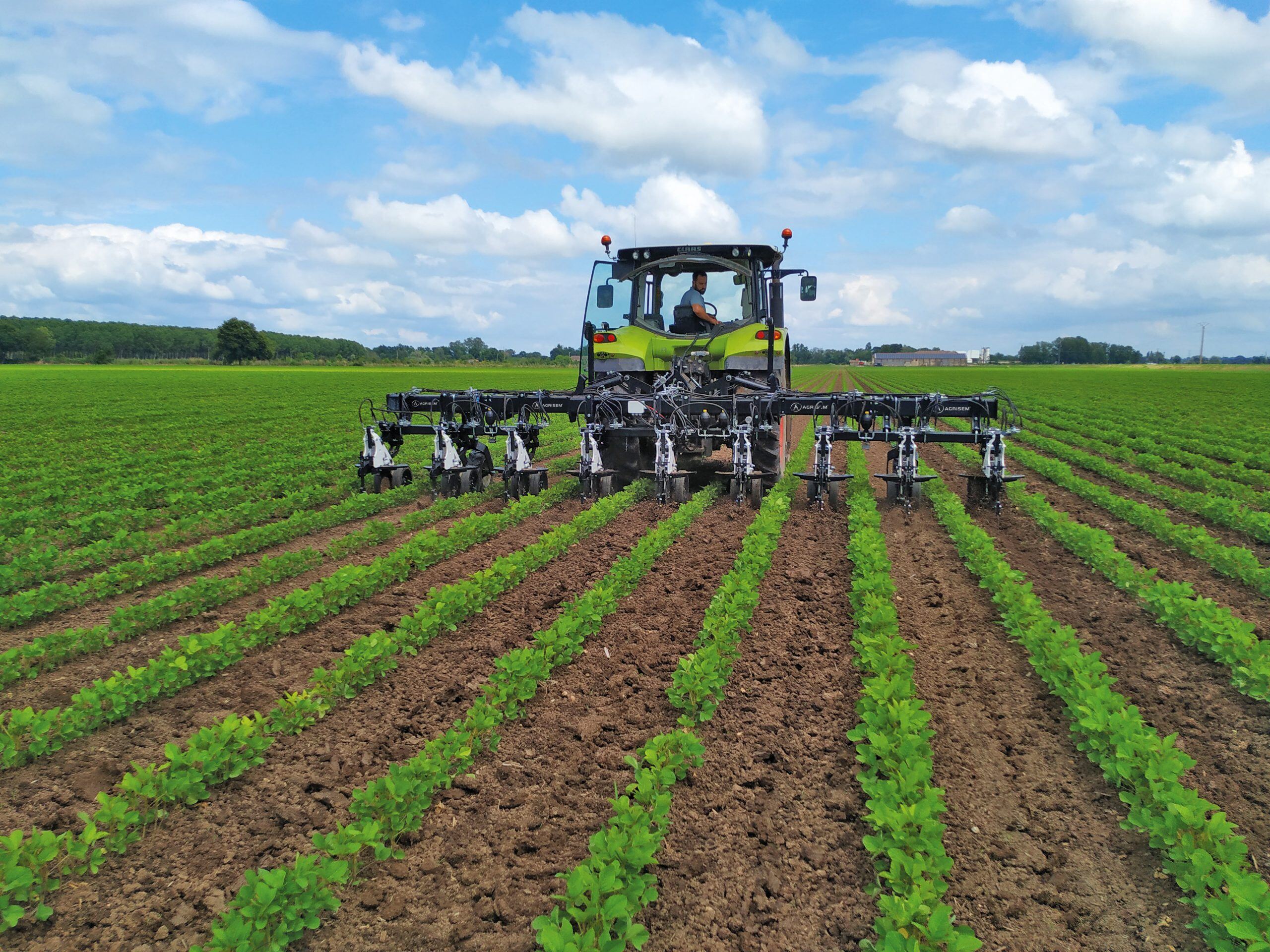 Inter-row weeders vs herbicides.